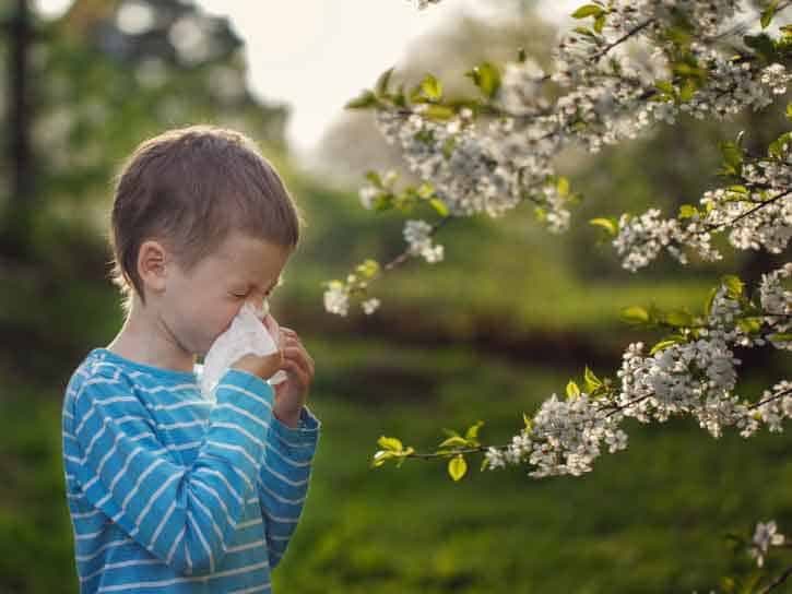 allergy-to-pollen